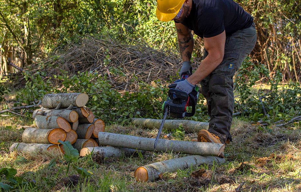 Solución forestal